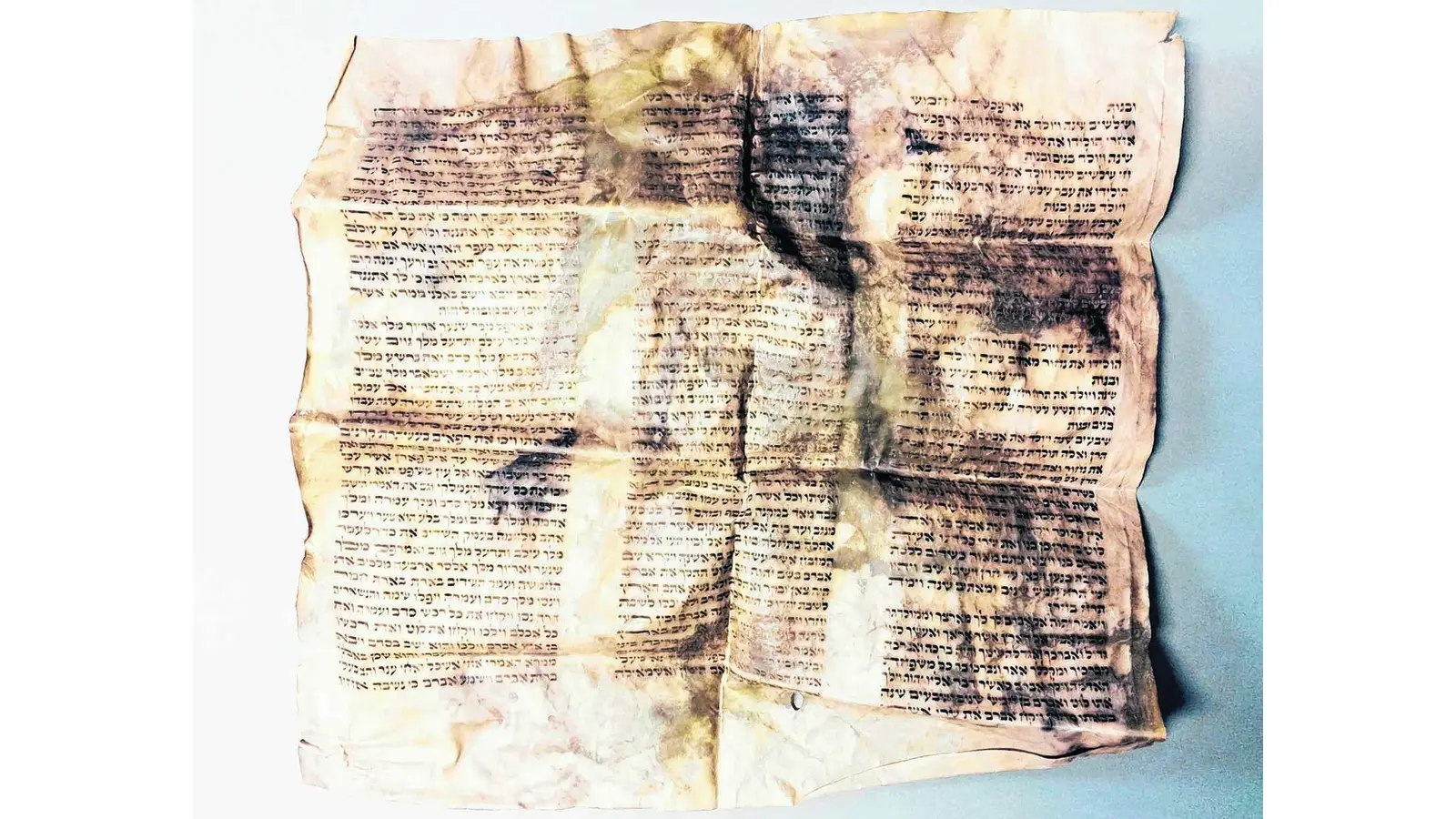 Teil einer Thora-Rolle in der Orgel gefunden (Foto: km)