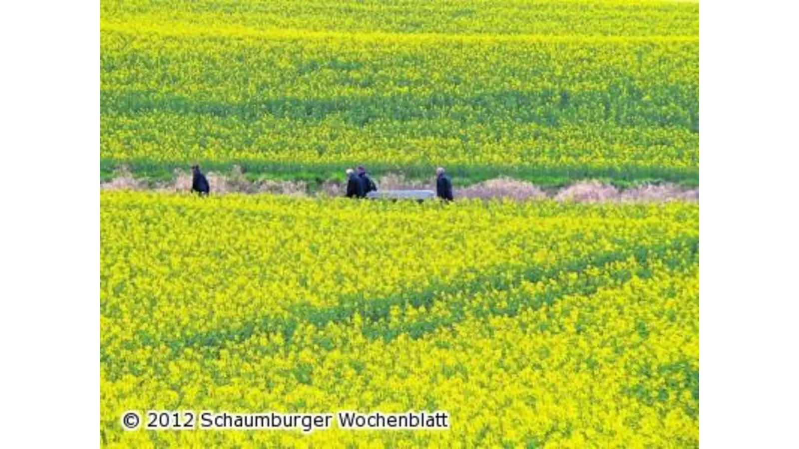 Keine Klarheit über Identität der Leiche (Foto: al)