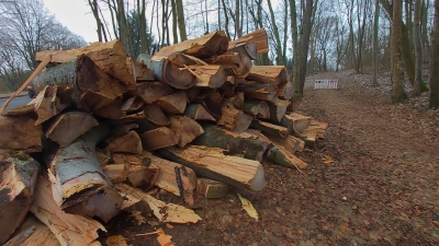 Aus Sicherheitsgründen wird teilweise massiver Baumrückbau im Kurpark erforderlich. (Foto: gk)