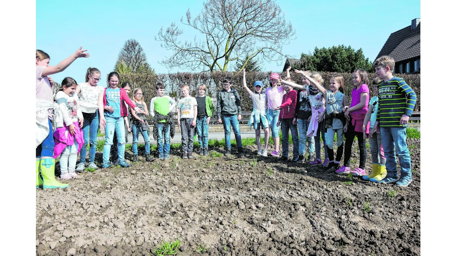 Rinteln wird bienenfreundlich (Foto: ste)
