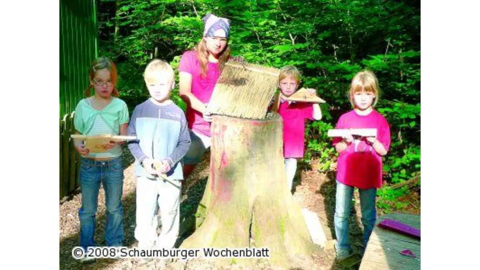 Bollerwagen geklaut (Foto: al)