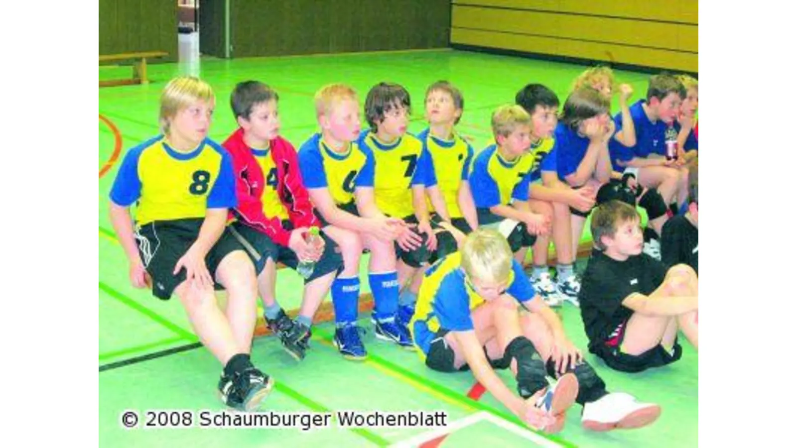 Junge Volleyballer sind Meister (Foto: al)