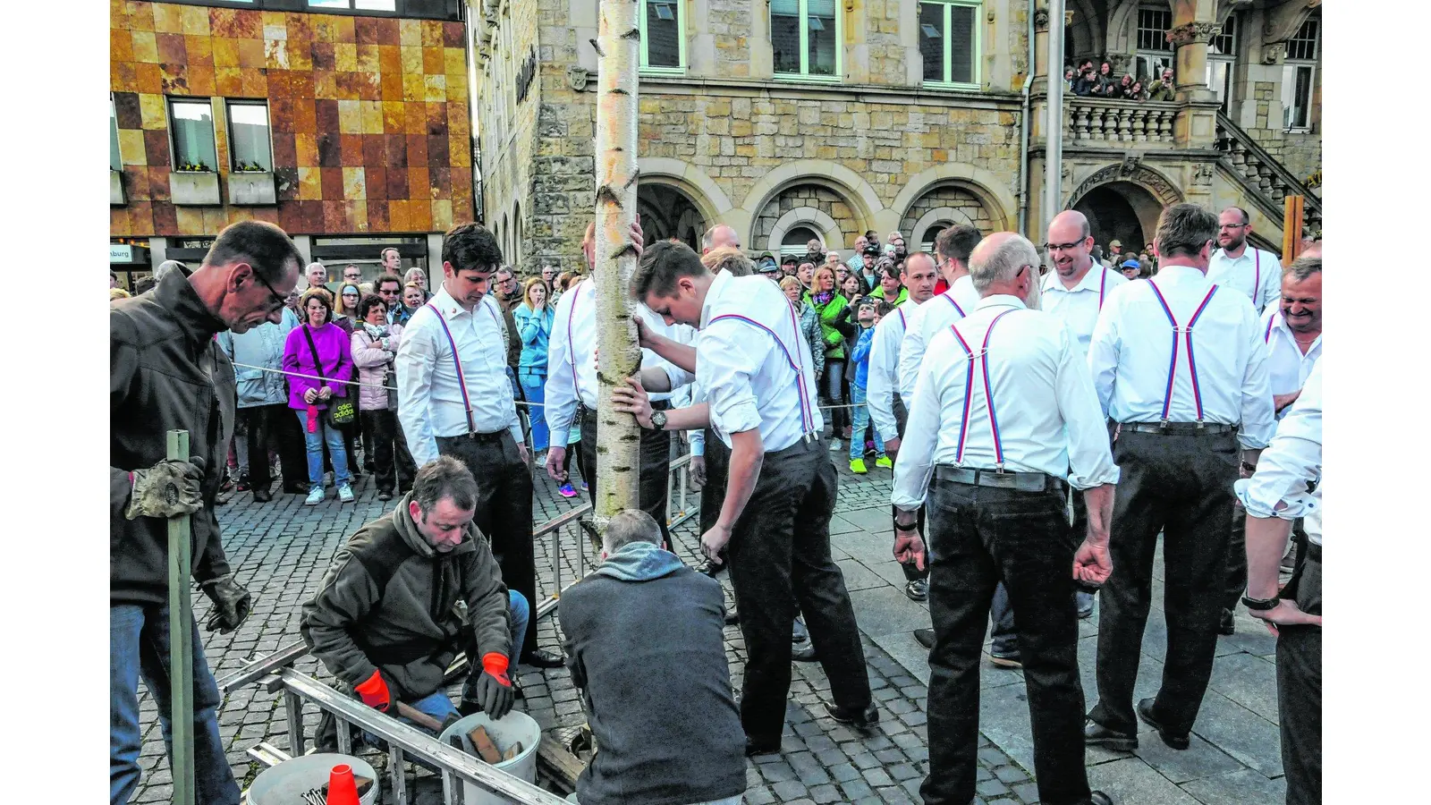 Maibaum erfolgreich aufgestellt (Foto: red)