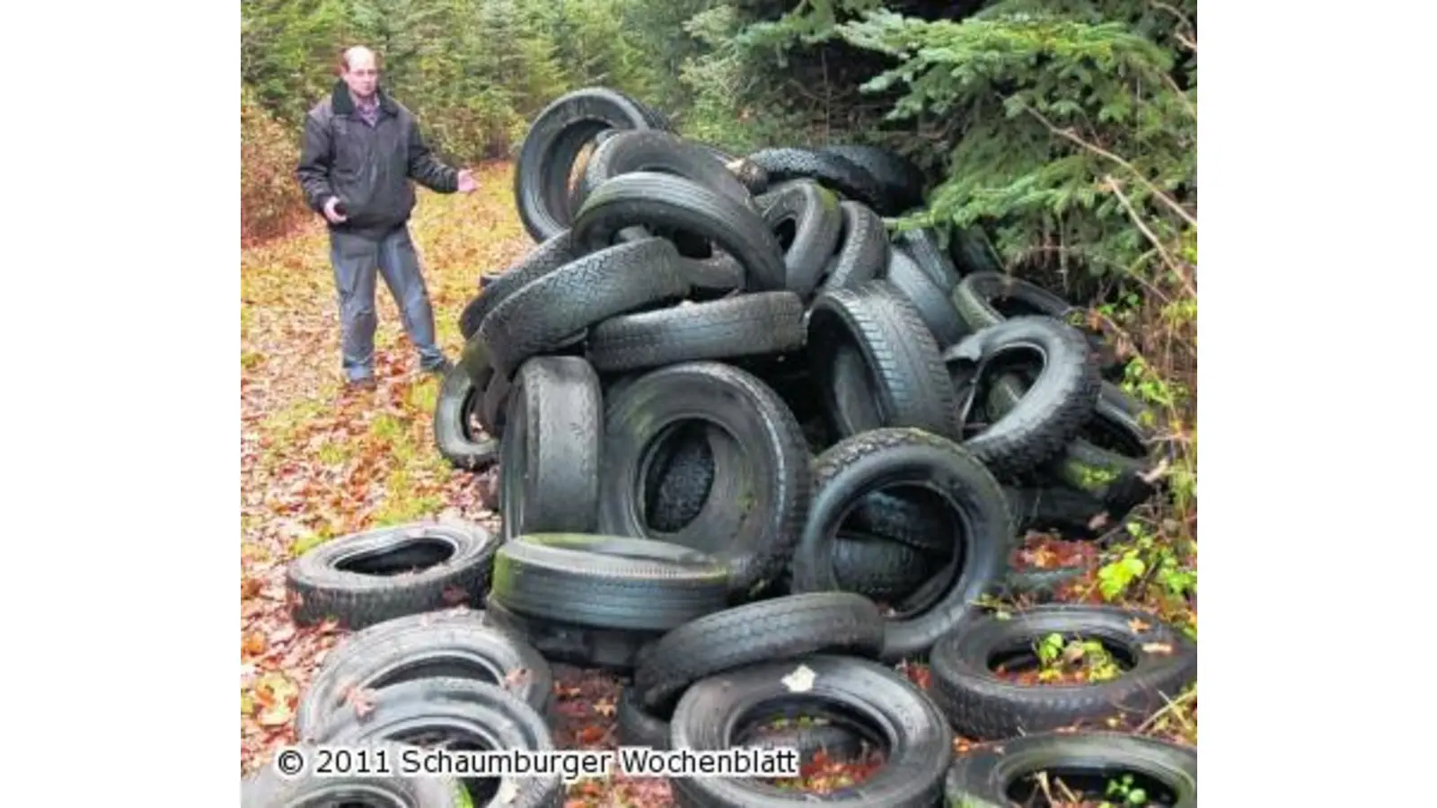 200 alte Autoreifen in den Wald gekippt (Foto: wtz)