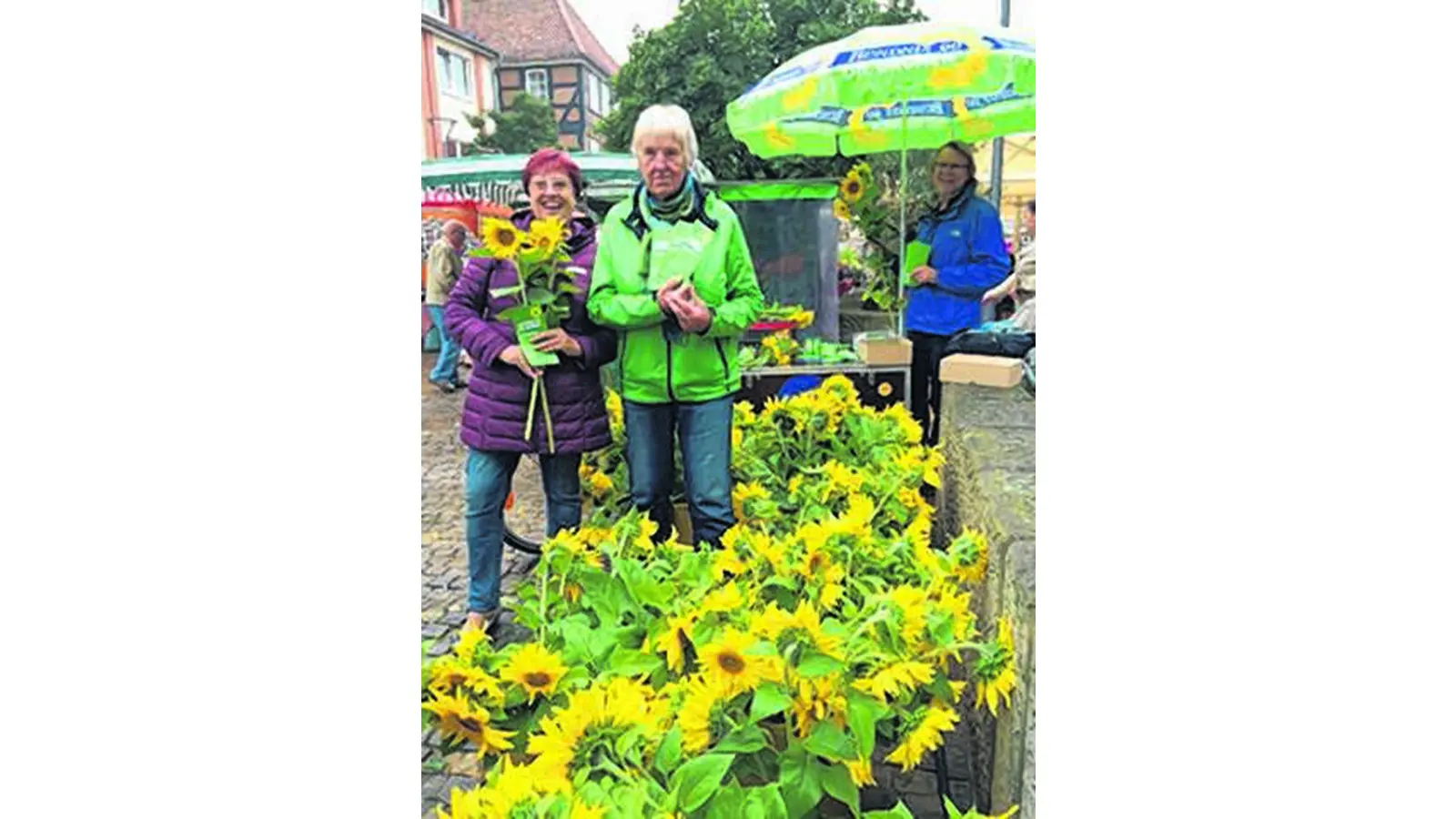 Sonnenblumen und Honig von den Grünen (Foto: gi)