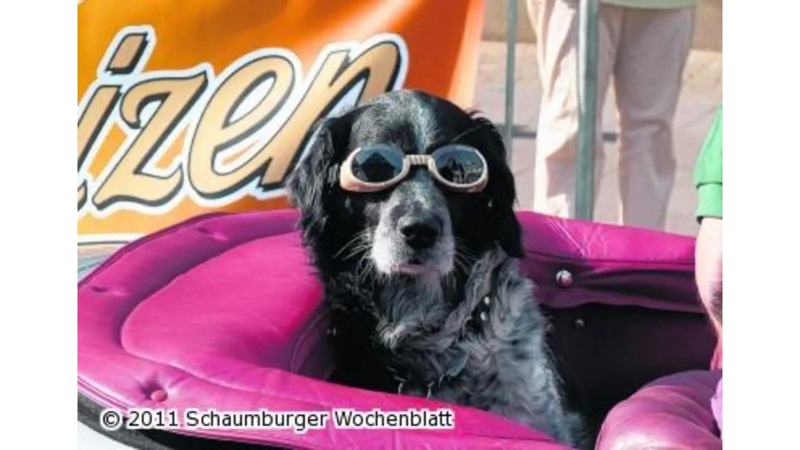 Vom Goggo bis zum Maserati (Foto: km)