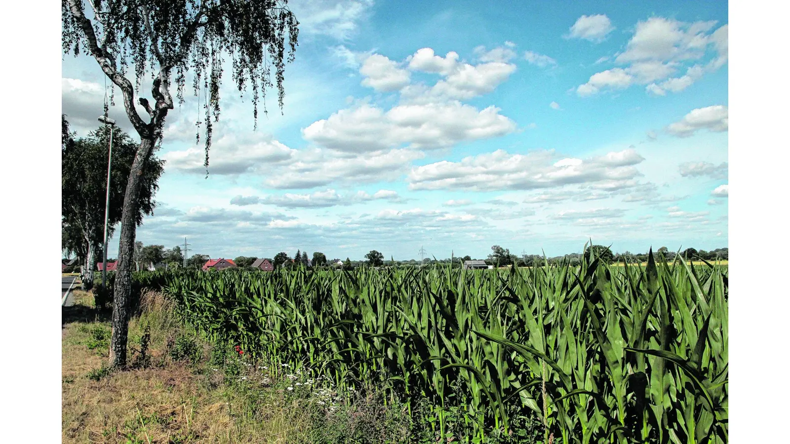 Alle Bürger sollen und dürfen mitmachen (Foto: nh)