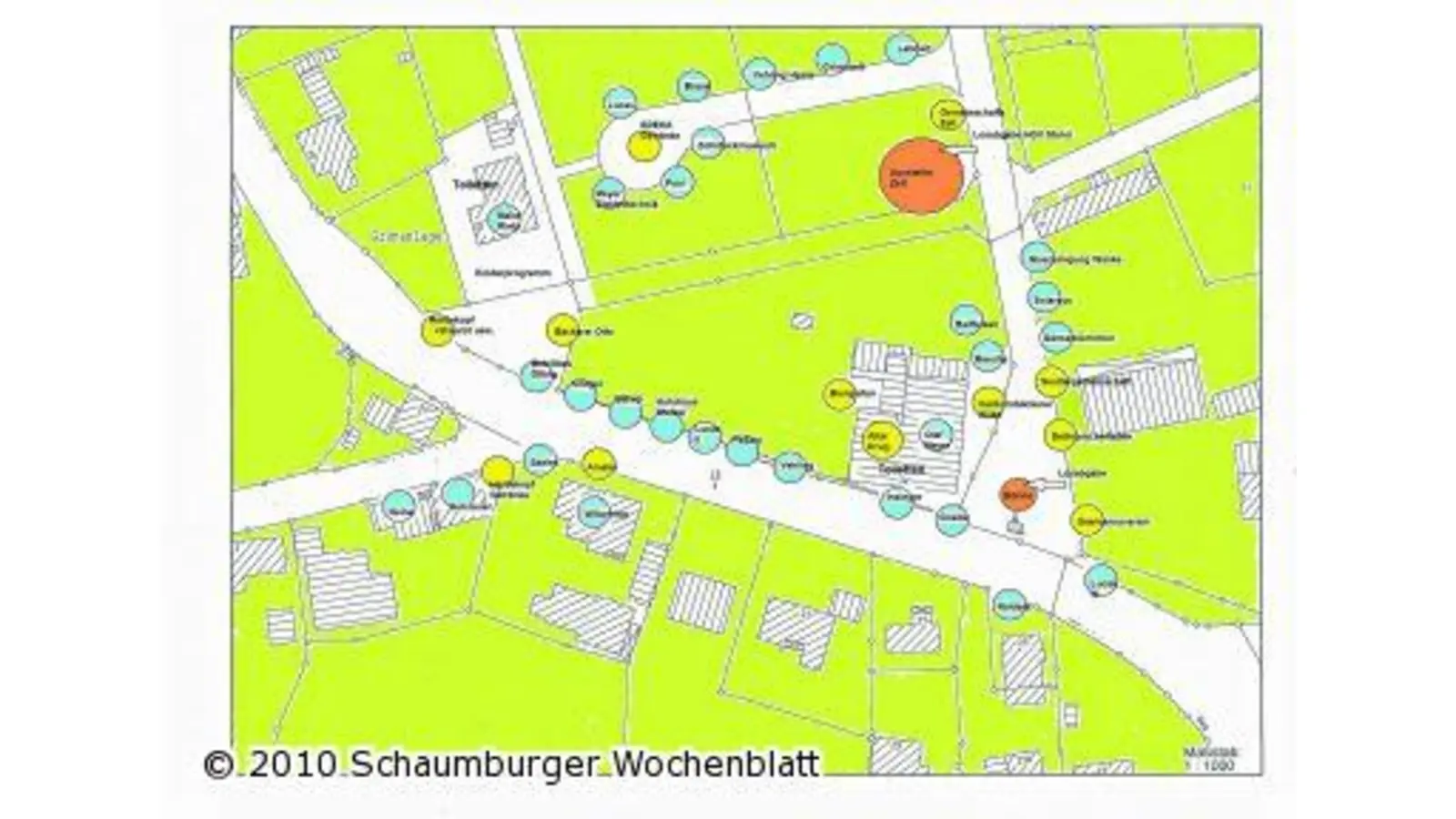 Vielfalt wohin das Auge reicht (Foto: mr)