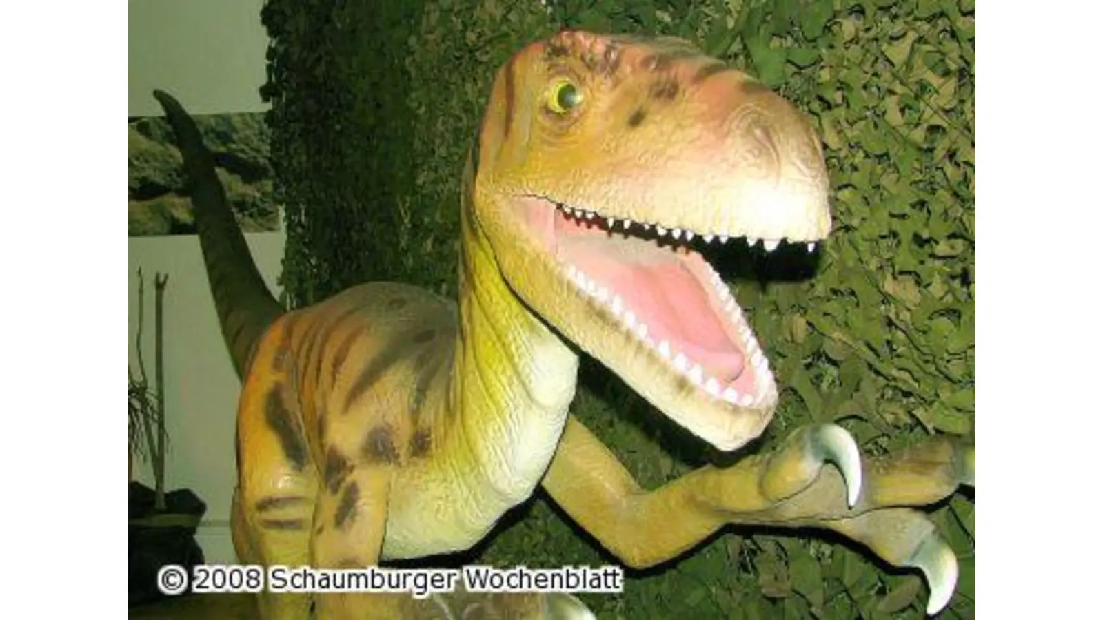 Kids bauen Dinosaurier-Skelette (Foto: km)