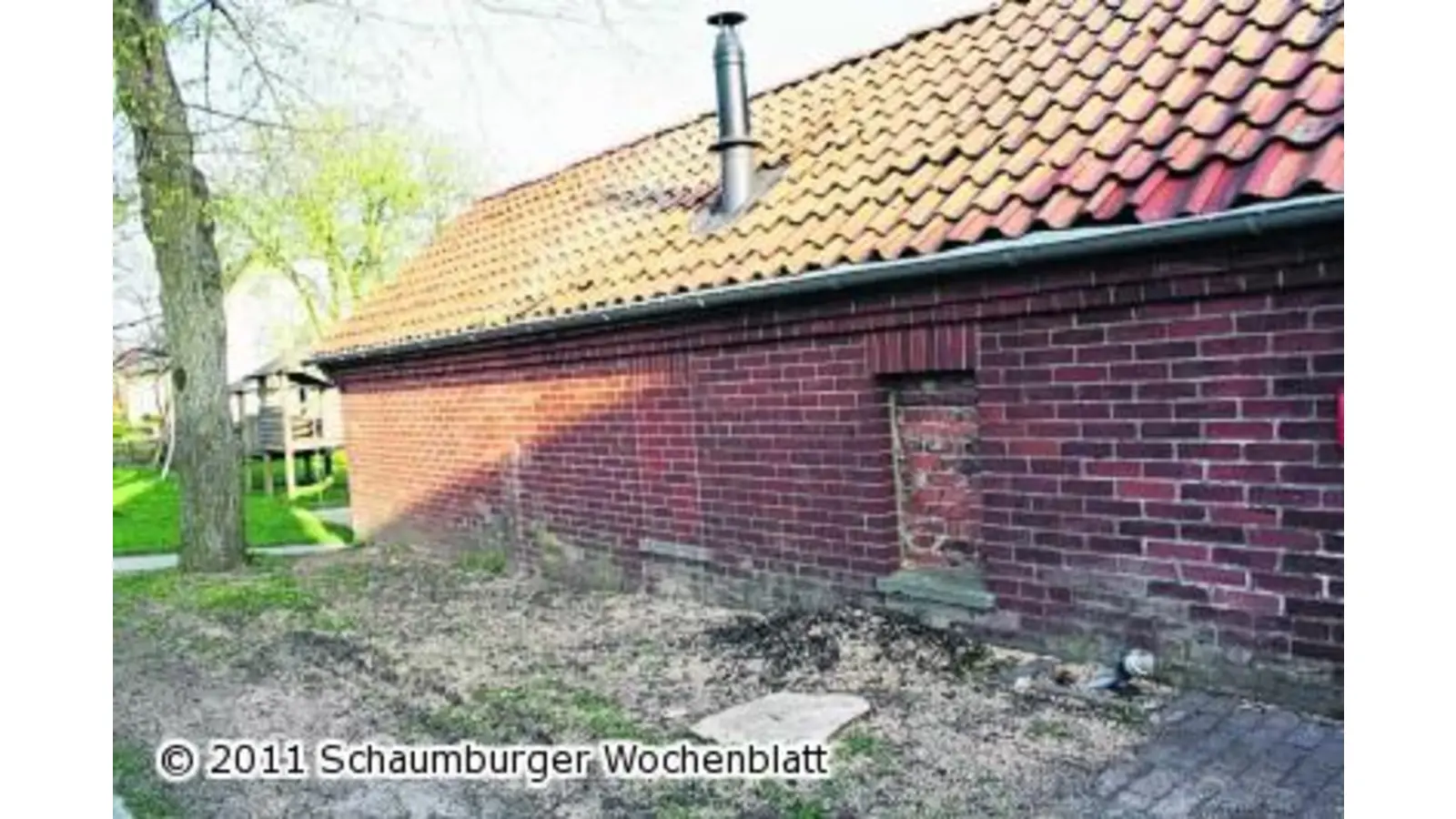 Eine alte Kastanie sorgt für mächtig Zündstoff (Foto: red)