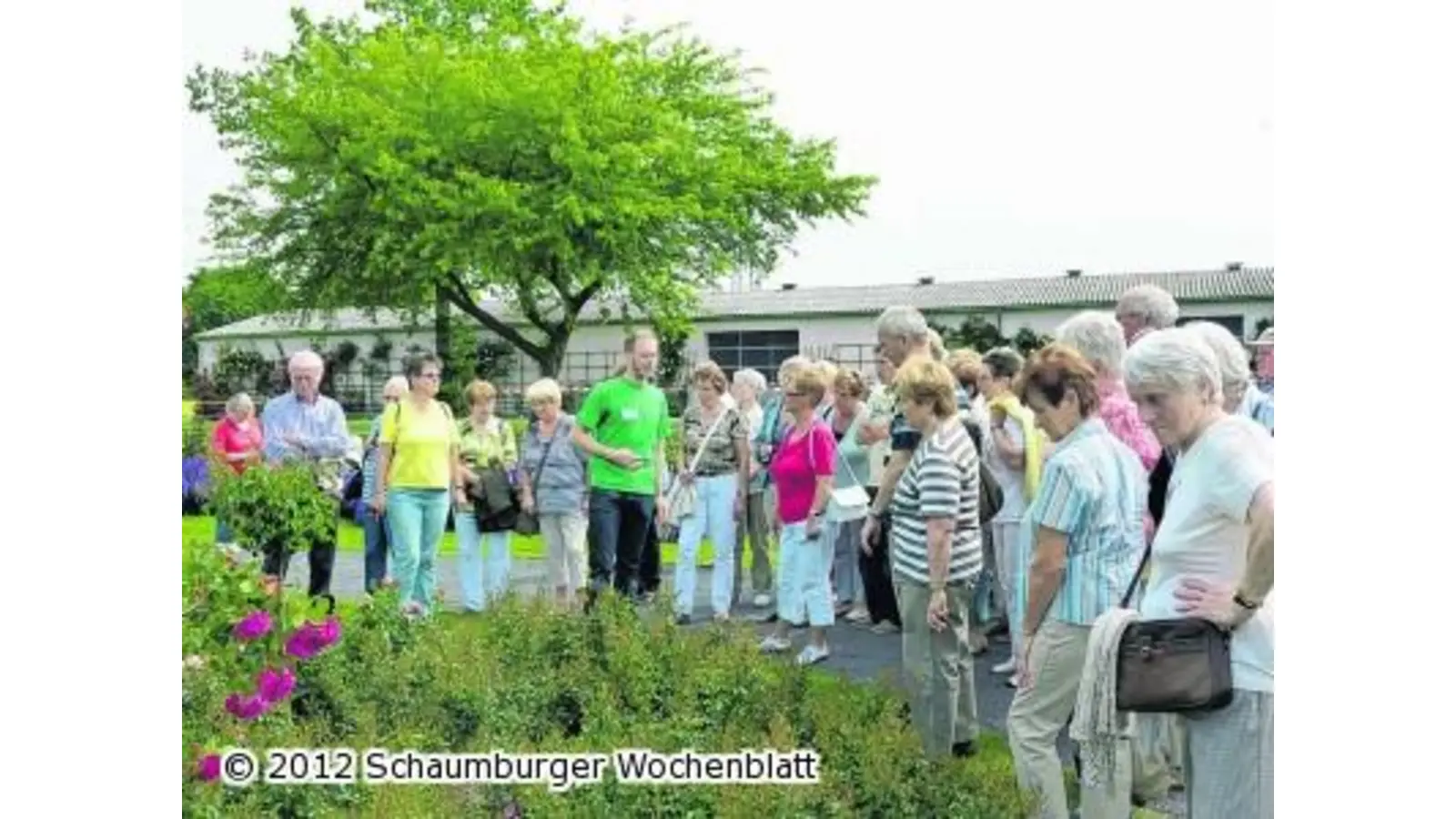 Rosenblätter statt Noten (Foto: bt)