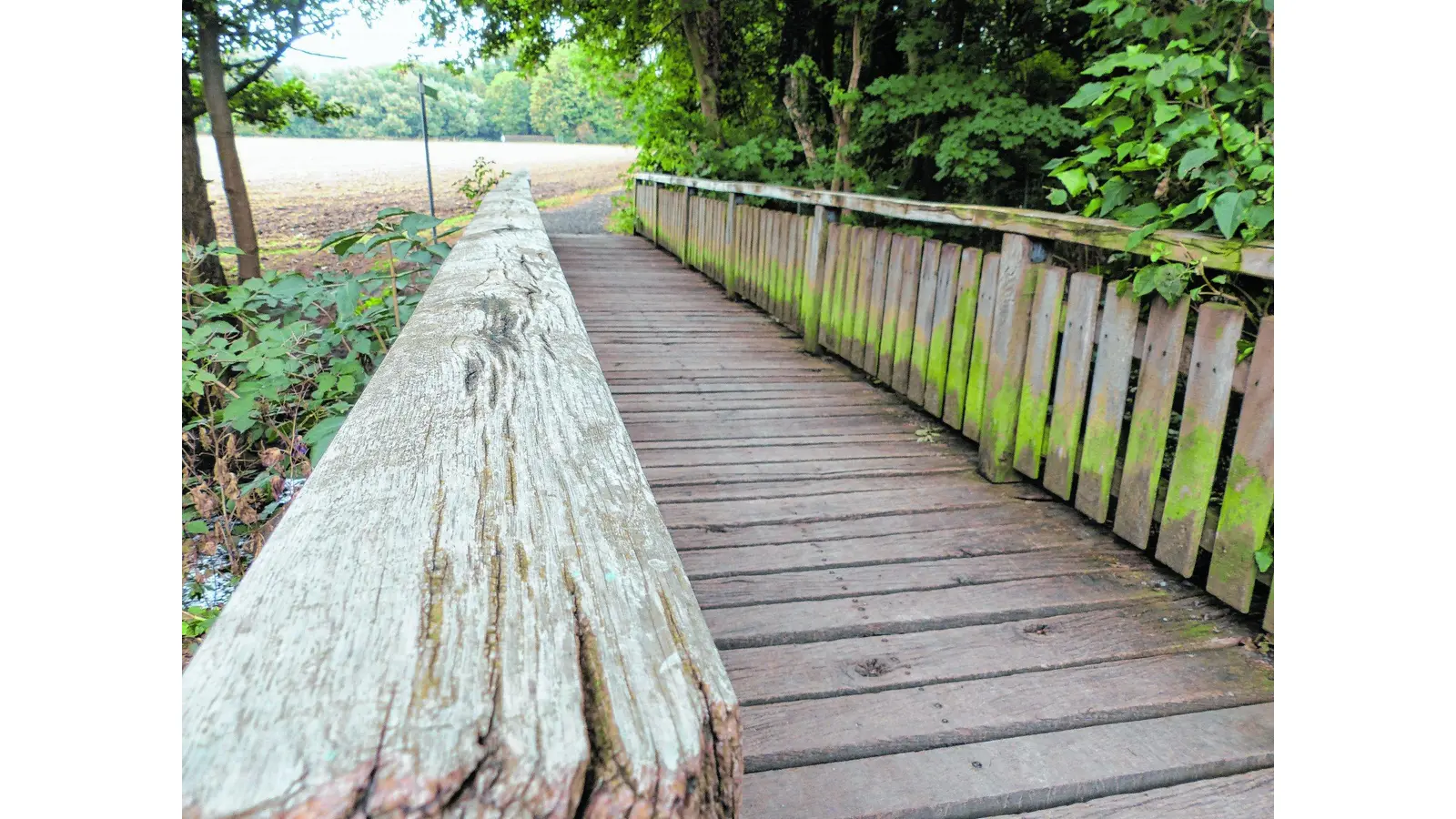 Schäden an der Schwarzen Brücke (Foto: al)