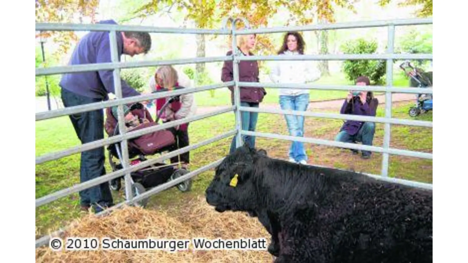 Bauernmarkt ist erneut ein Volltreffer (Foto: red)