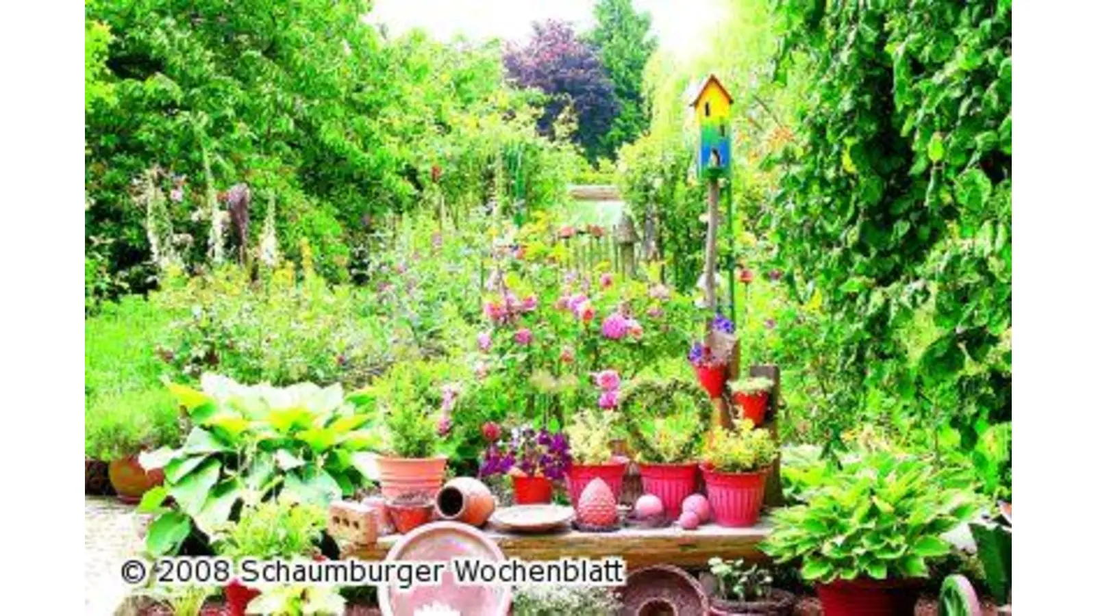 Heimische Gärten im TV (Foto: ih)