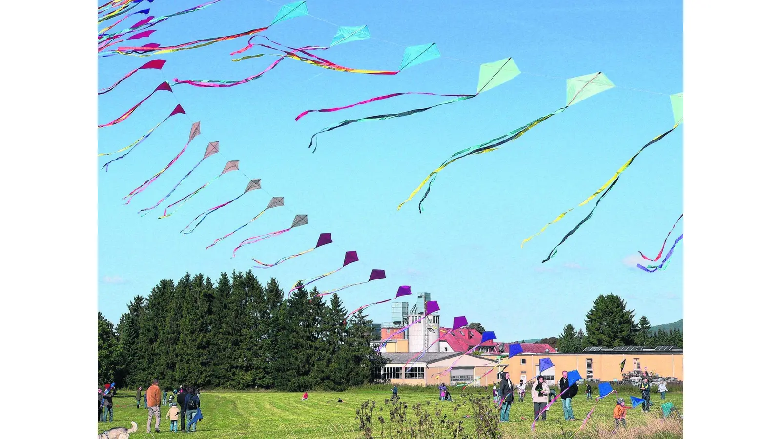 Drachen tanzen über Hülsede (Foto: al)