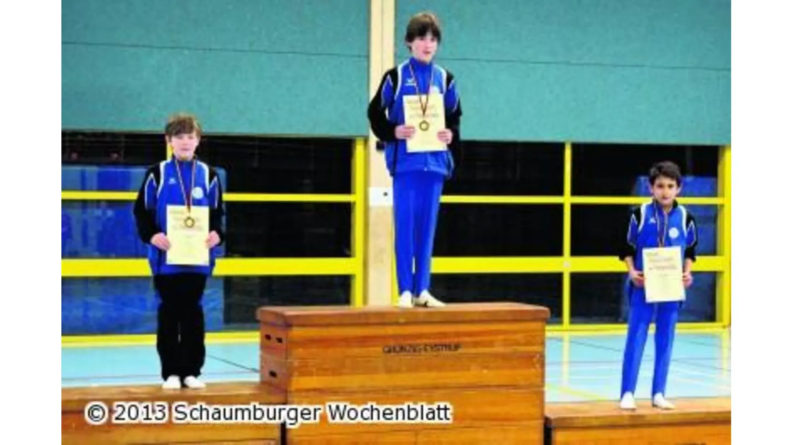 Drei Kreismeistertitel für die VTR-Turner (Foto: red)