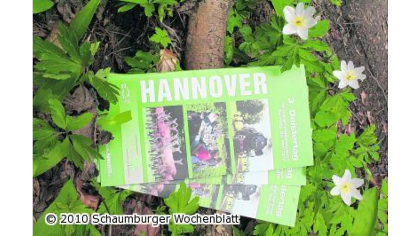 Es brummt wieder im Deister (Foto: ih)