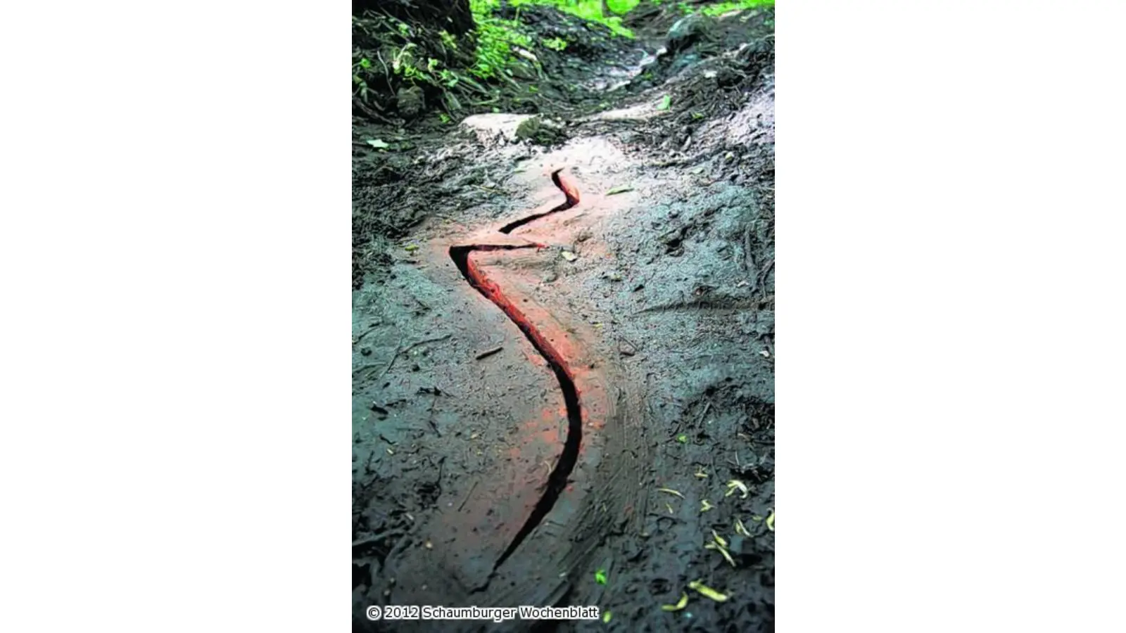 Die Kunst in Wald und Wiesen entdecken (Foto: bb)