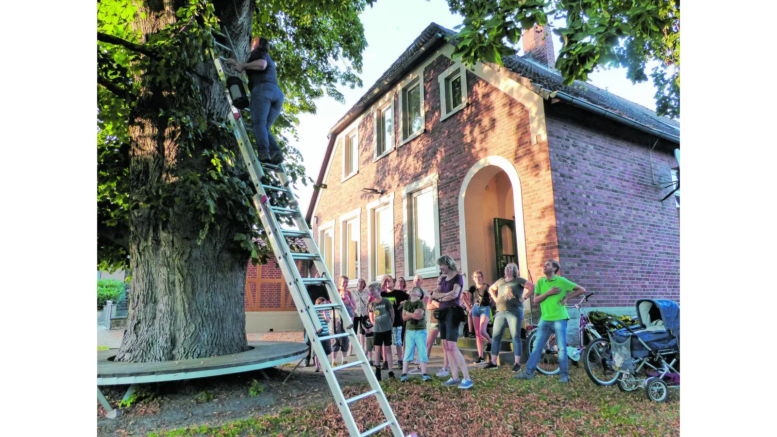 Den Nachtschwärmern auf der Spur (Foto: al)