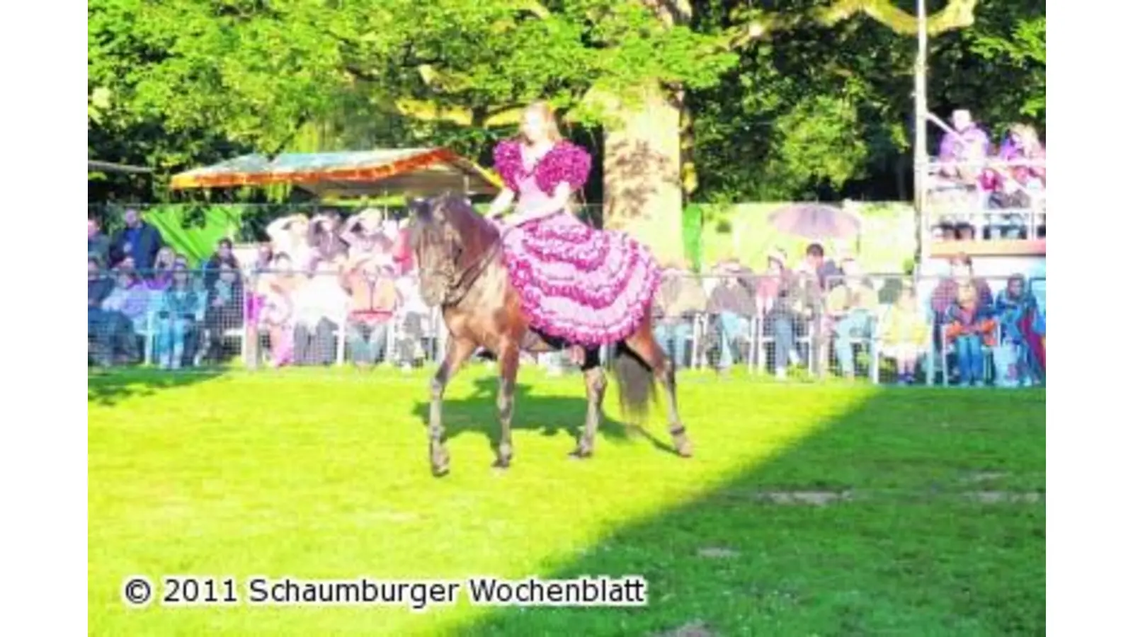 Magische Momente einer pferdestarken Nacht (Foto: red)