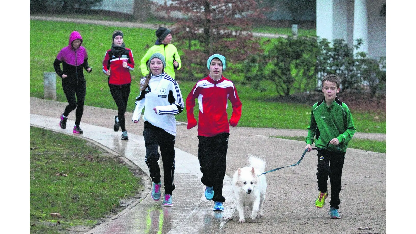Sportlicher Jahresausklang im Kurpark Bad Nenndorf (Foto: bb)