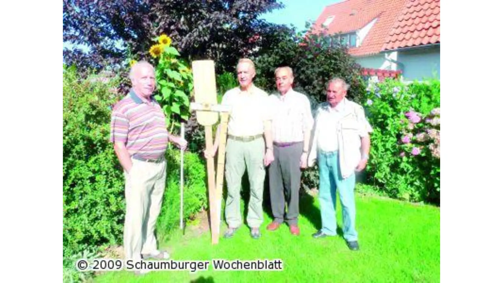 Sonnenblumen im Wettbewerb (Foto: pd)