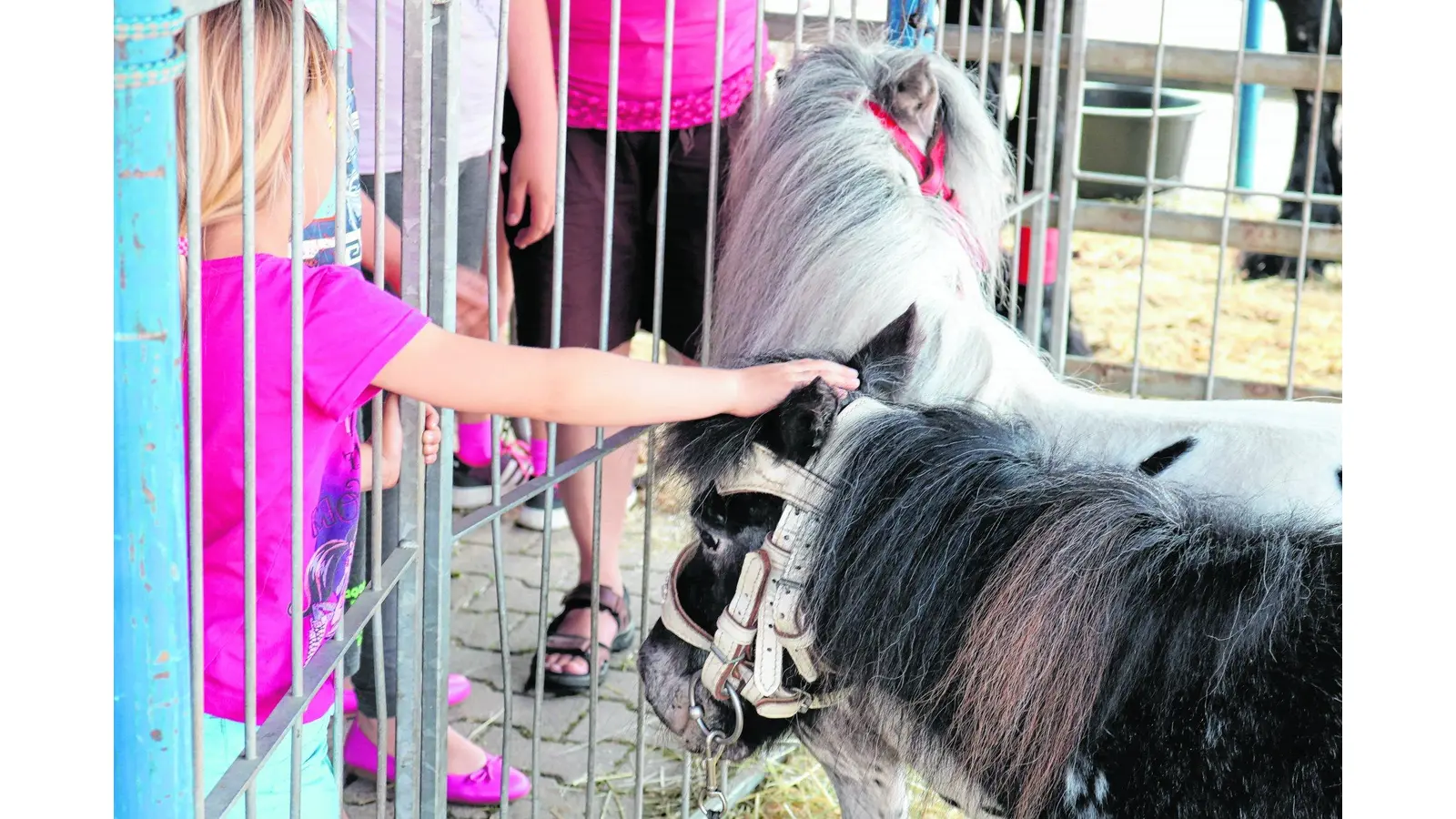 Mitmachen und jede Menge Spaß haben (Foto: jb)