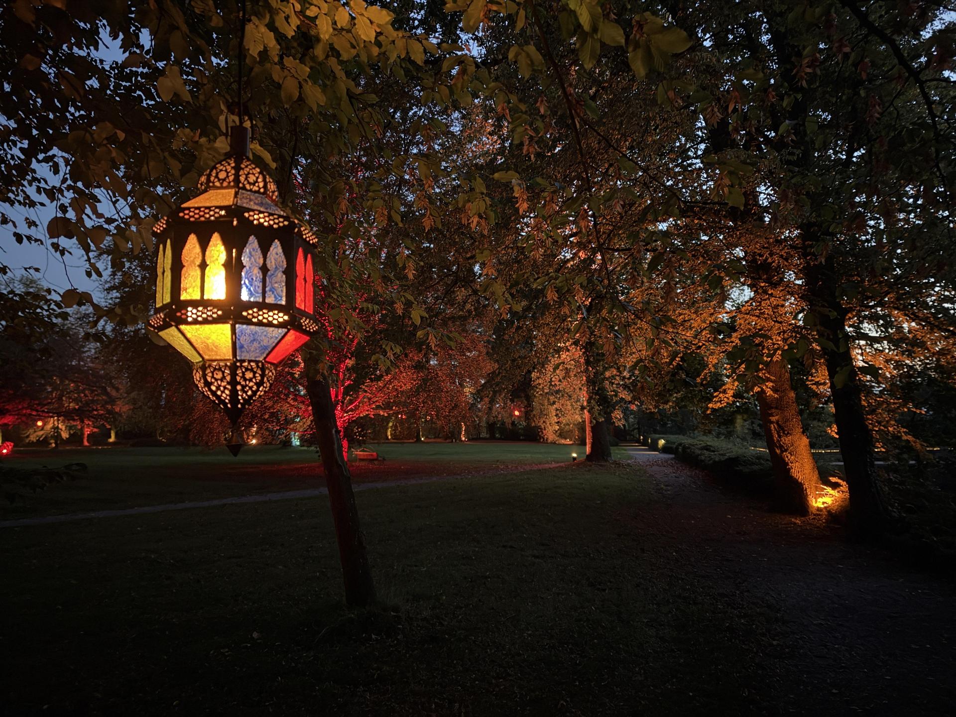 MärchenLichter (Foto: nd)