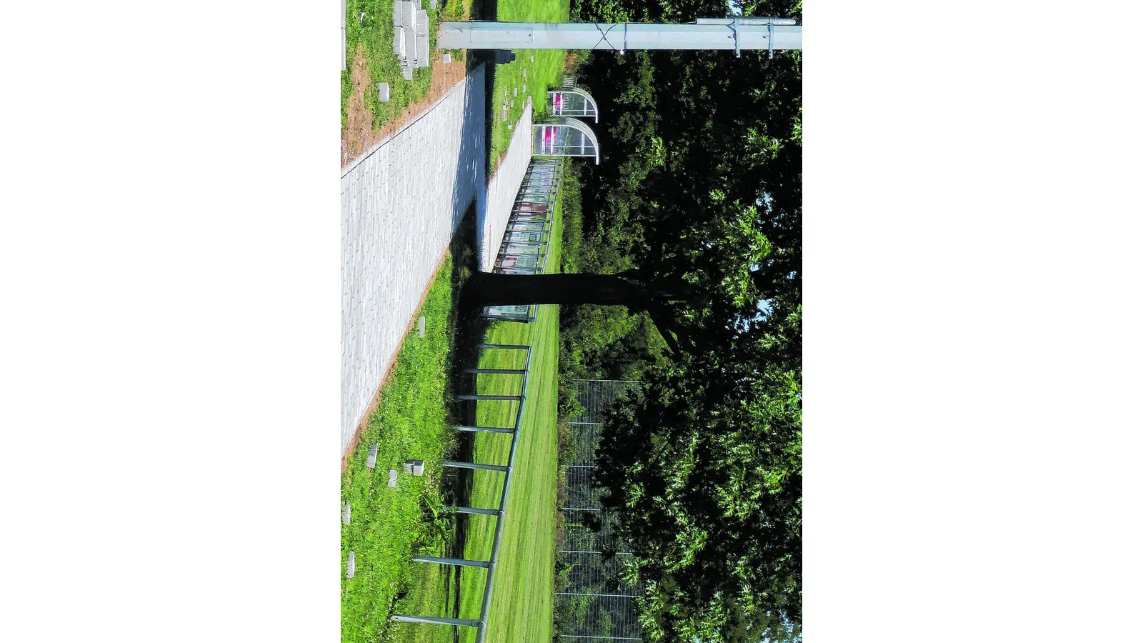 Boom beim Nachwuchs fordert mehr Platz (Foto: al)