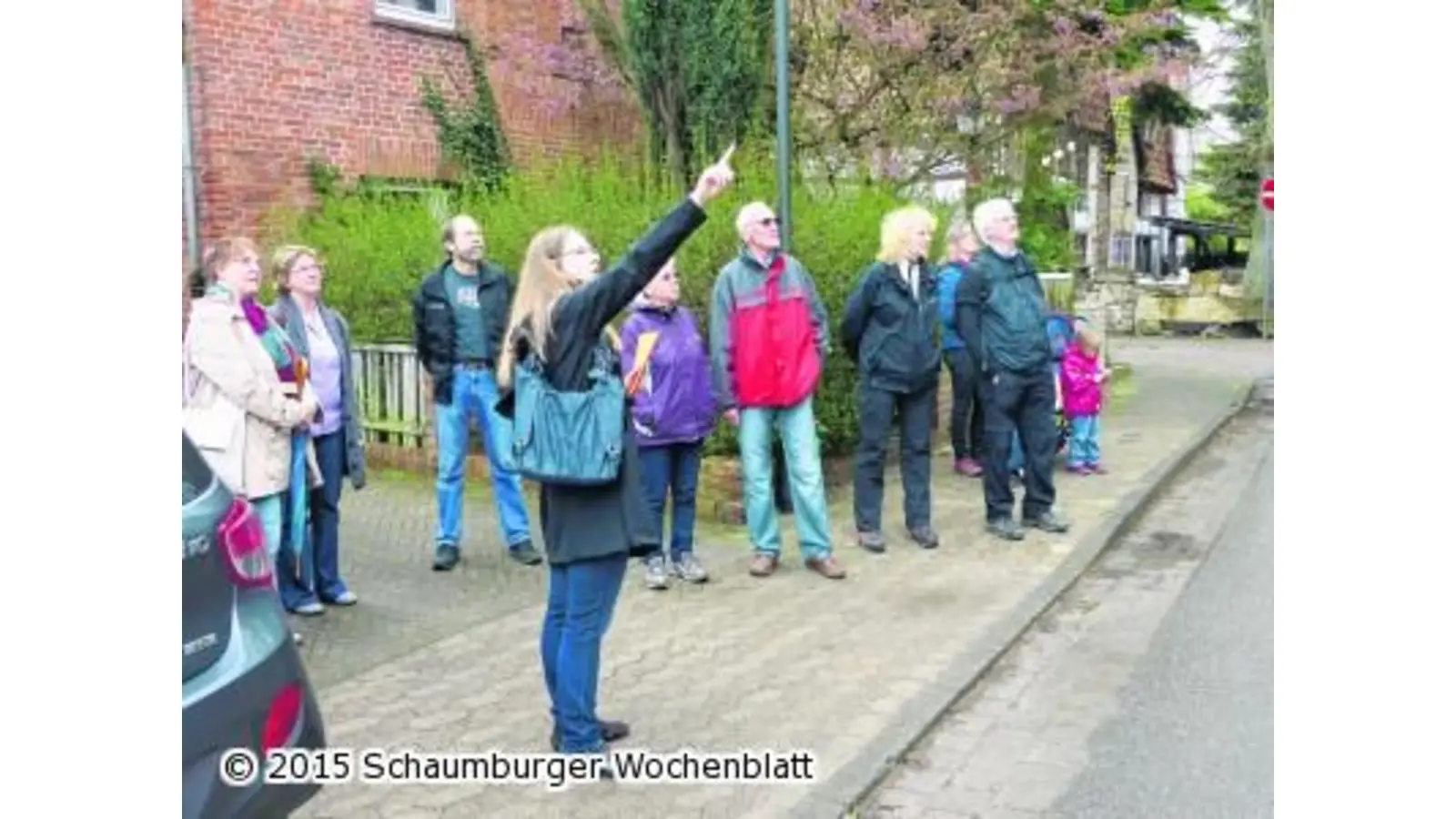 Wildschwein wird zum Hundeschreck (Foto: red)