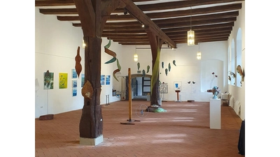 Kunstausstellung im Kloster Möllenbeck. (Foto: privat)