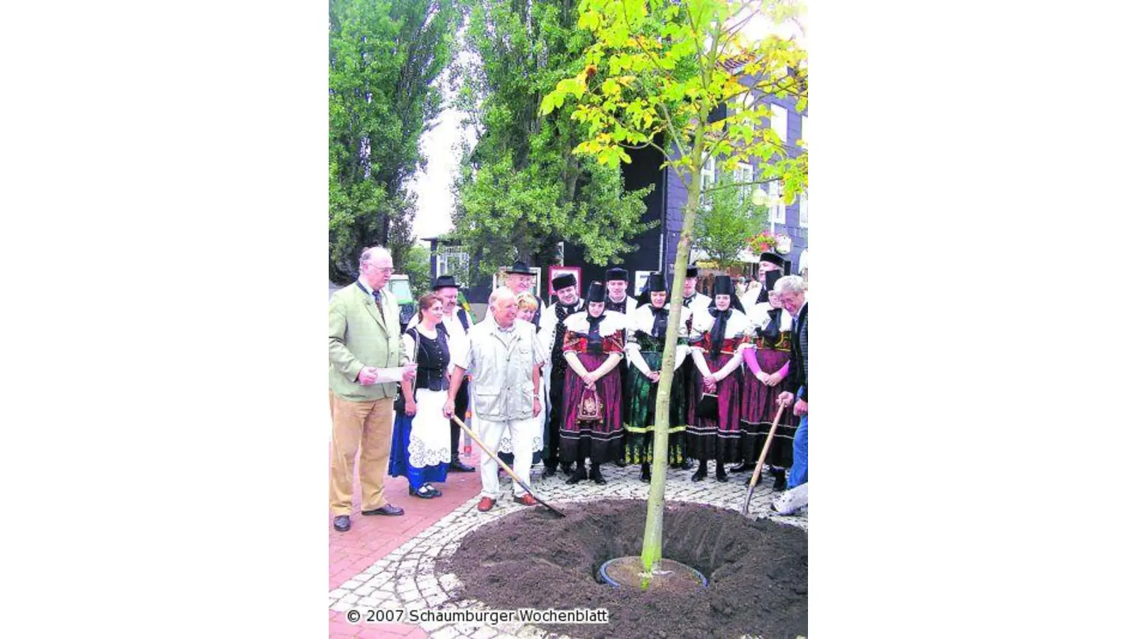 Eine Kastanie für die Tradition (Foto: red)