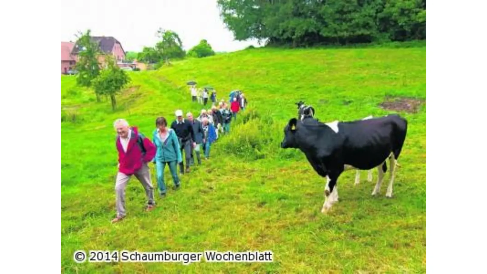 Den Ort auf schmalen Pfaden erkunden (Foto: red)