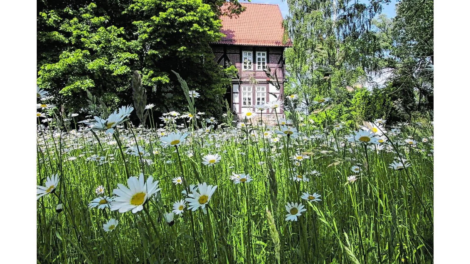 Weites Land und ein kleines Schloss (Foto: jb)