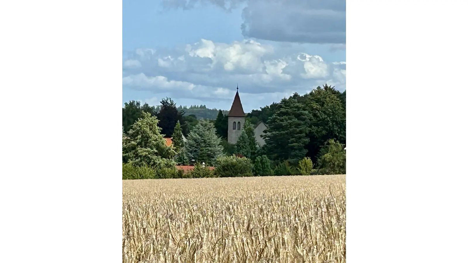 Die Erntedankgottesdienst wird auch die Mitglieder der Kirchengemeinde Wendthagen in diesem Jahr nach Obernwöhren führen.  (Foto: privat)