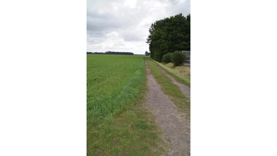 Hinter dem Sportplatz und der Skateranlage soll die Landebahn entstehen. (Foto: ab)