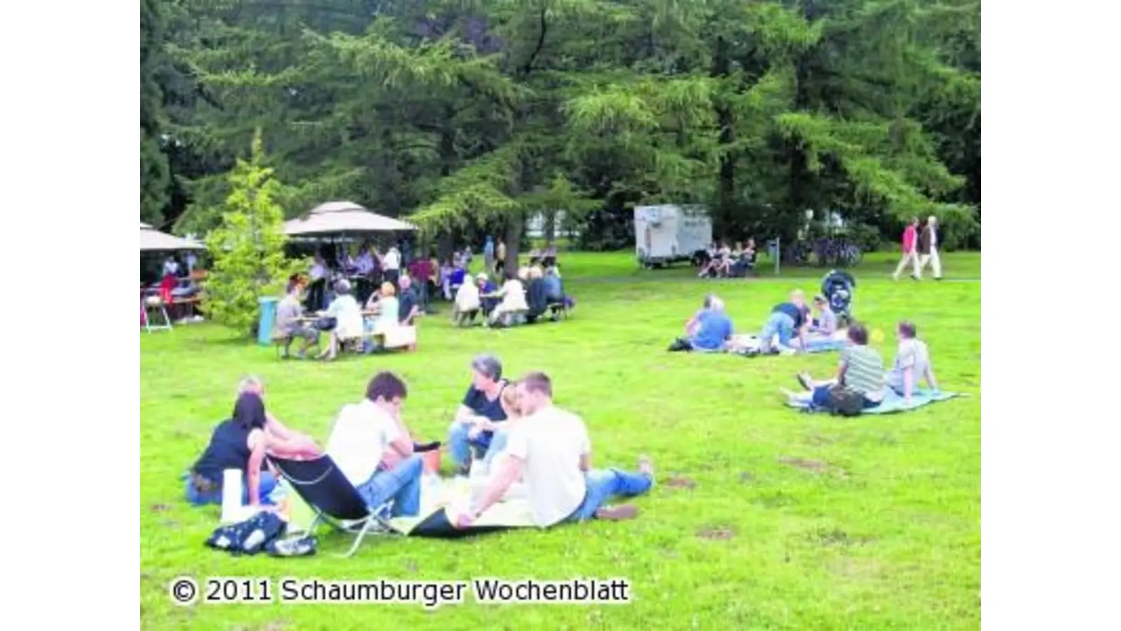 Unterm Sonnensegel beim Picknick im Park (Foto: red)