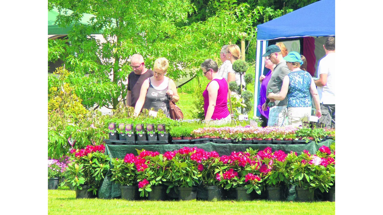 British Weekend im Schaumburger Land (Foto: gr)