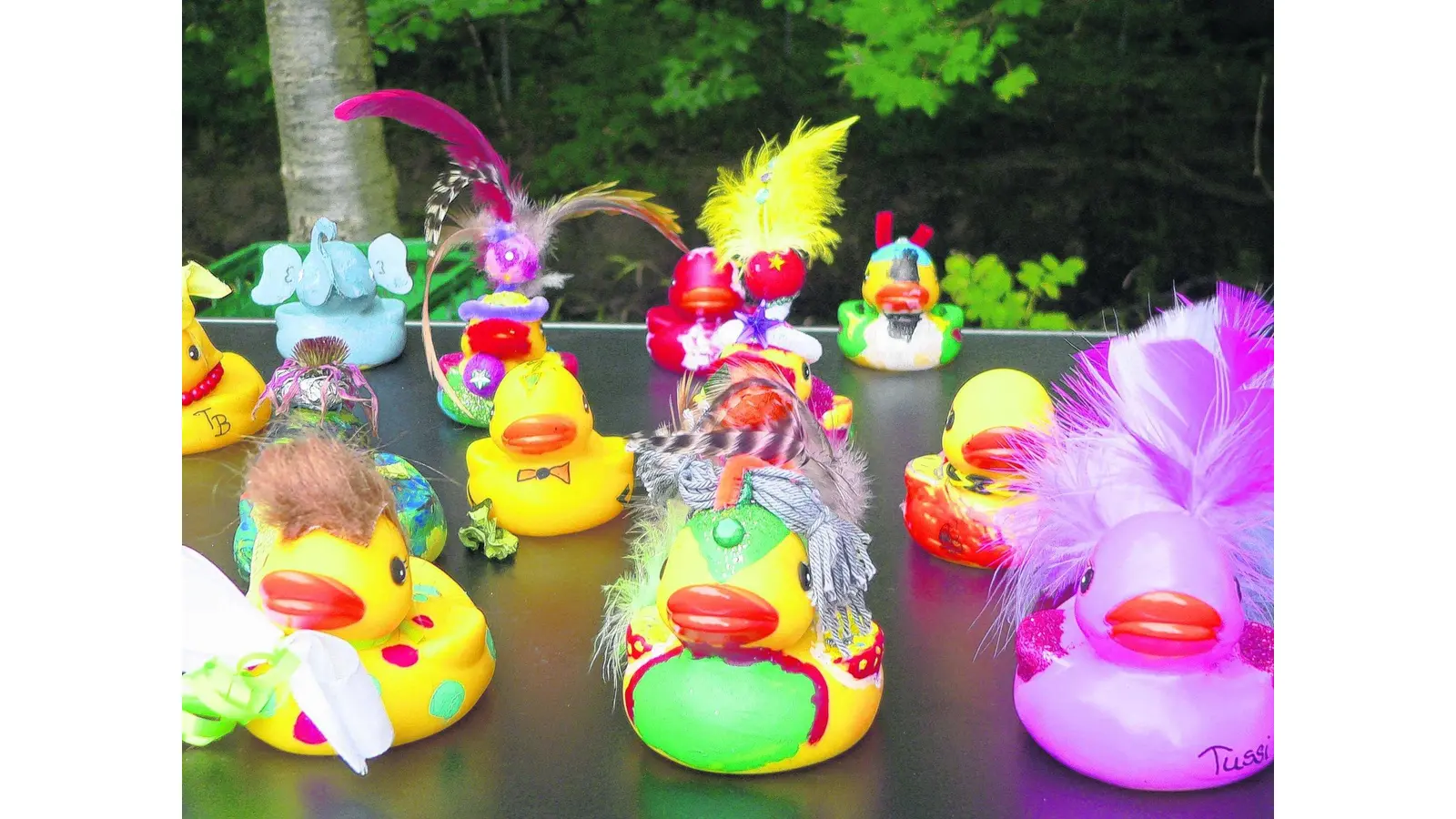 Die Aue wird zur Rennstrecke (Foto: al)