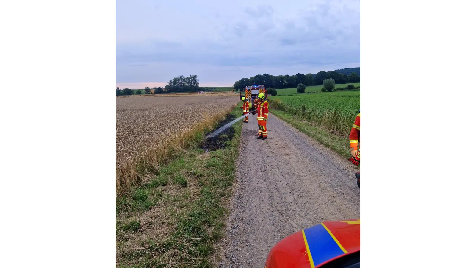 Die Ausbreitung auf ein etwa sechs Hektar großes Feld konnte verhindert werden.  (Foto: Feuerwehr)