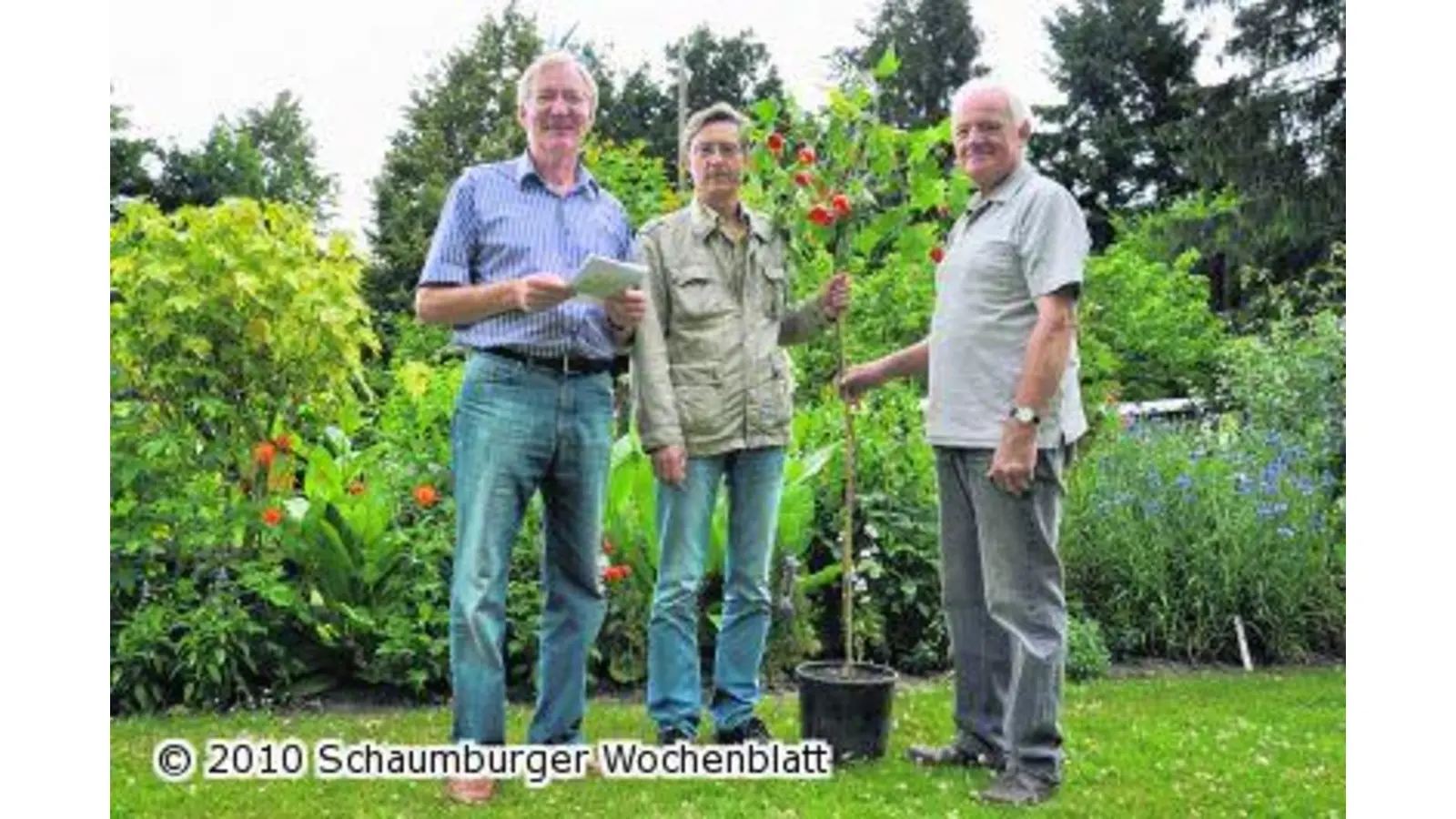 Flaniermeile legt zu (Foto: nb)