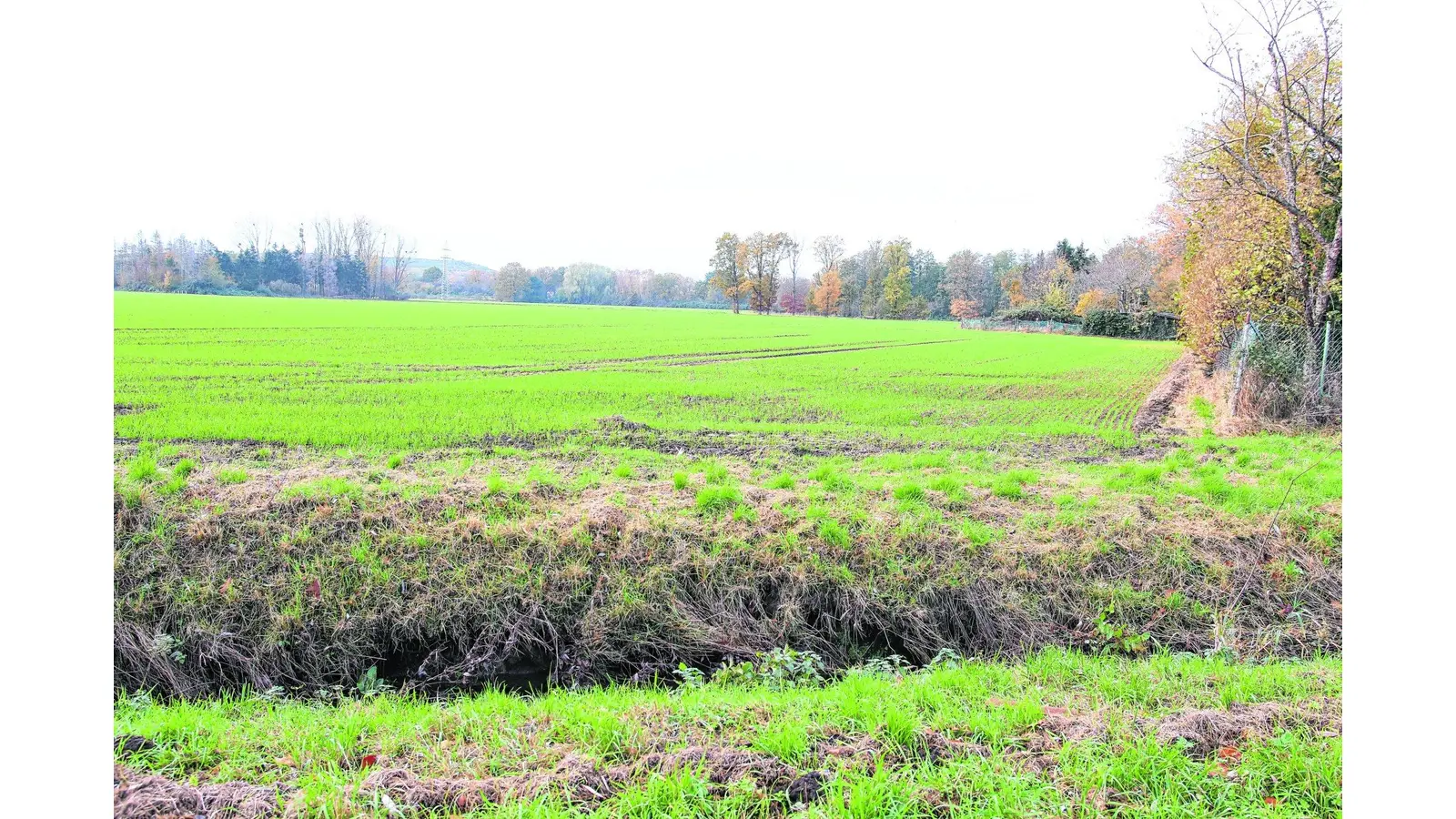 Überschwemmungen verhindern und Gewerbegebiet entwickeln (Foto: bb)