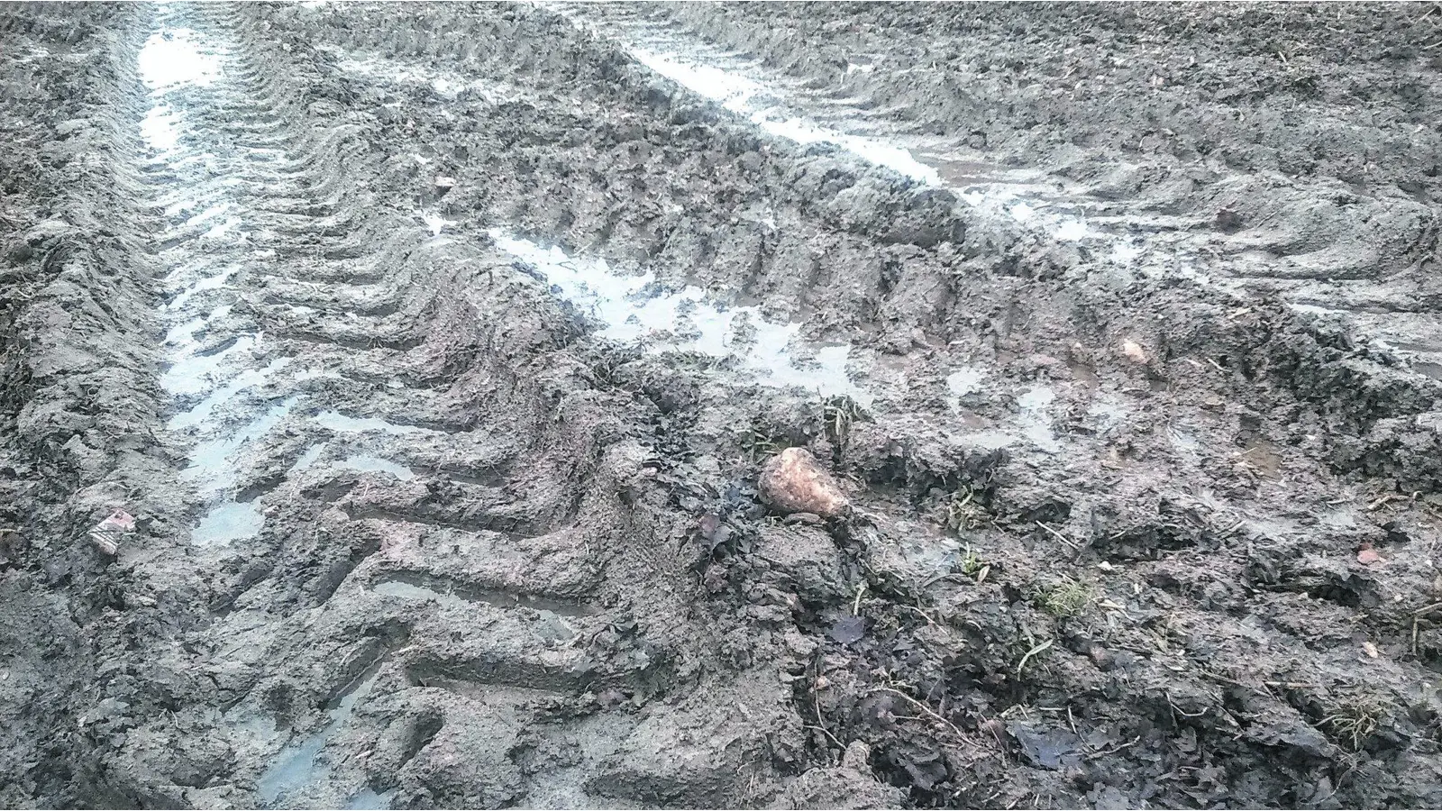 Regen überschwemmt Felder (Foto: jh)