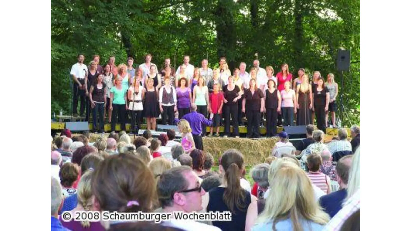 Großes Konzert unter den Eichen (Foto: ih)