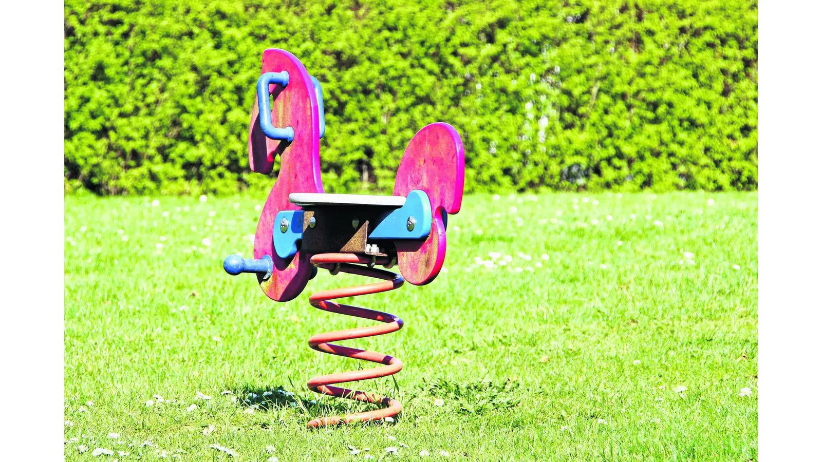 Einsames Wippe-Pferd bekommt Gesellschaft (Foto: jl)