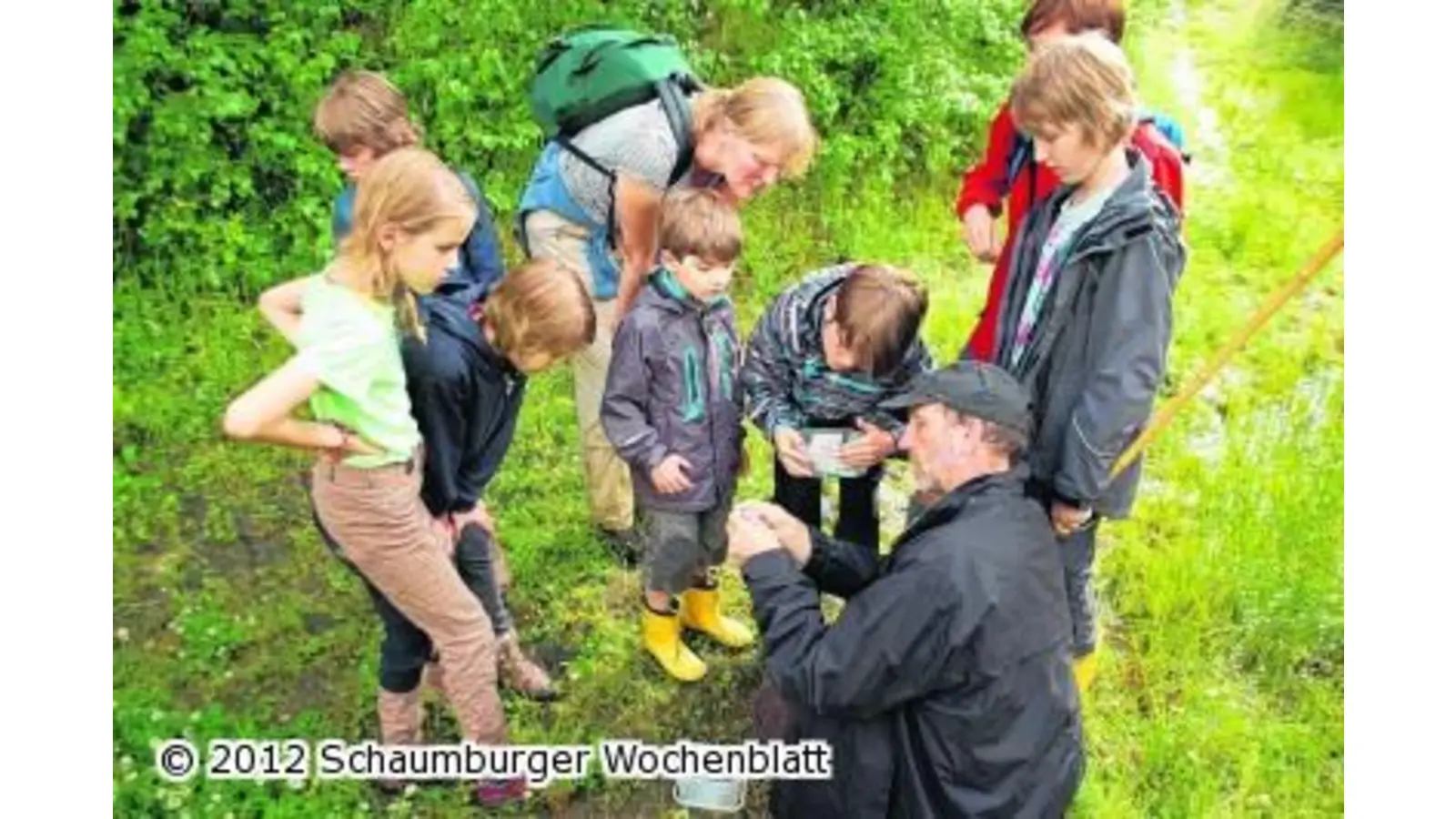 Den Lebensraum der Gelbbauchunken erhalten (Foto: ste)