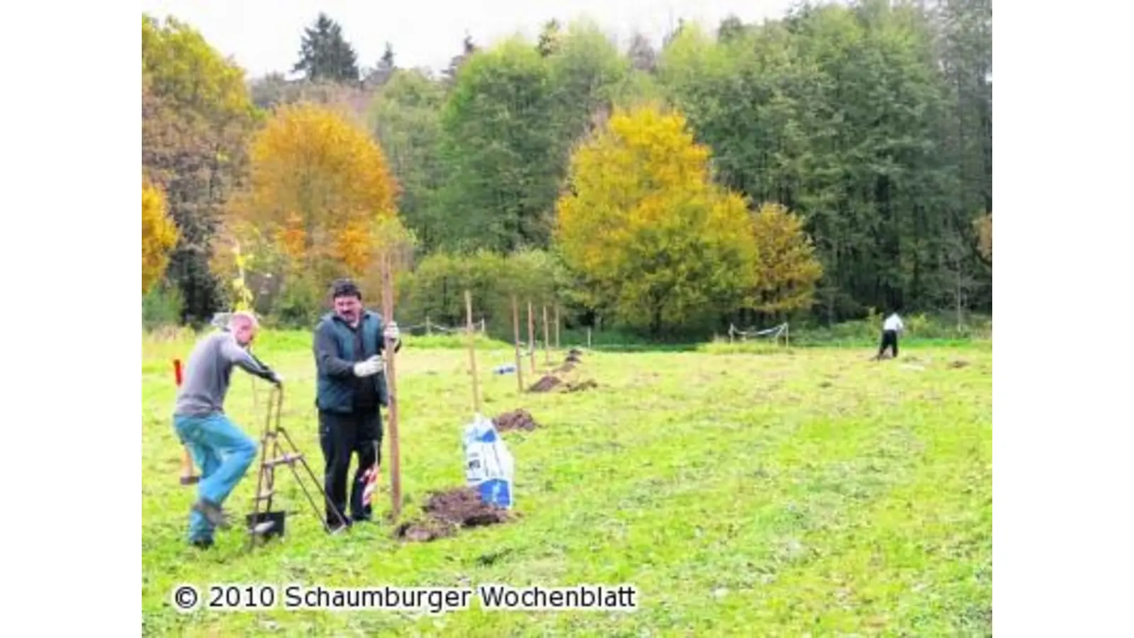 Alte Obstsorten am neuen Biotop gepflanzt (Foto: al)