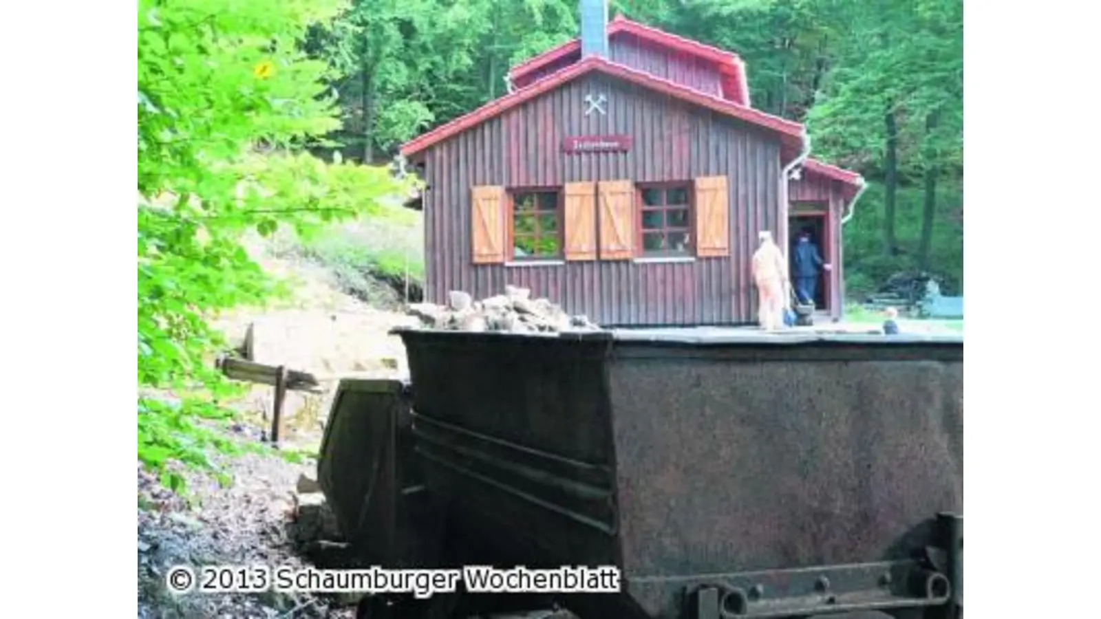 Keilhaue und Süntelbuche (Foto: al)