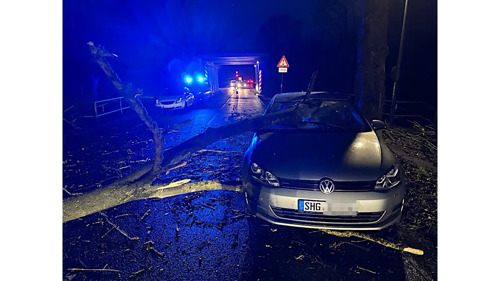 Glück im Unglück: Der massive Ast verfehlt den Fahrer nur knapp. (Foto: privat)