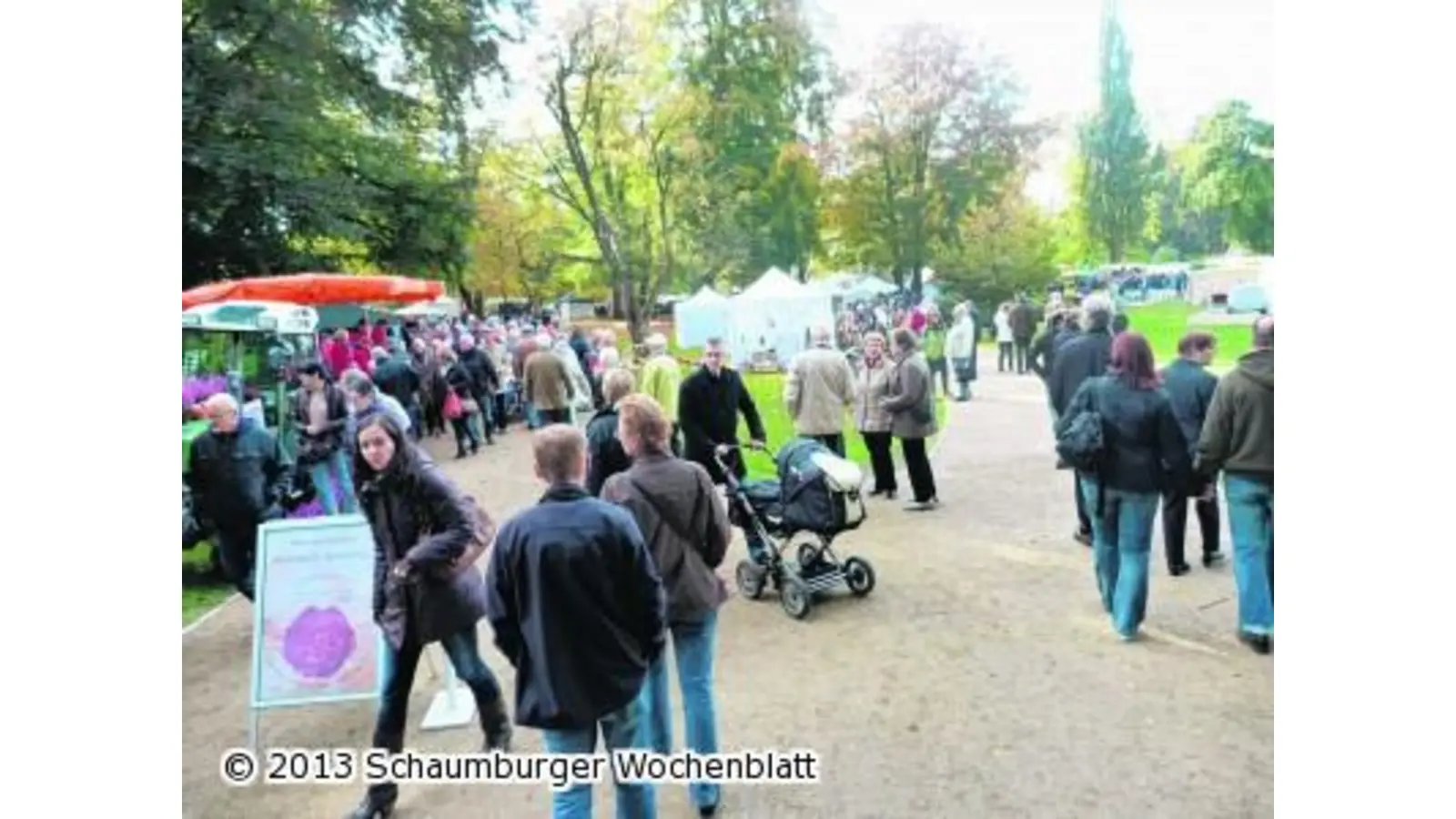 Bauernmarkt bei goldenem Oktoberwetter (Foto: red)